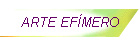 ARTE EF�MERO