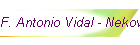 F. Antonio Vidal - Nekovidal