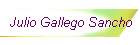 Julio Gallego Sancho