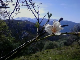 http://2.bp.blogspot.com/-7Ra8Sykg8HU/TY-Epmpm-8I/AAAAAAAAAIk/5u28VfbOp9Y/s320/P05-03-11_12.13.jpg