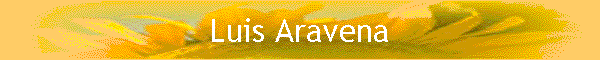 Luis Aravena