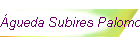 �gueda Subires Palomo