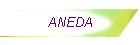 ANEDA