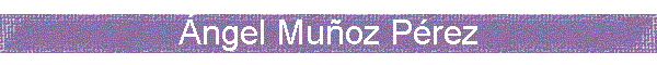 �ngel Mu�oz P�rez